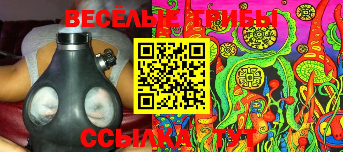 Будённовск  Галлюциногенные грибы Cubensis  Вход с VPN 